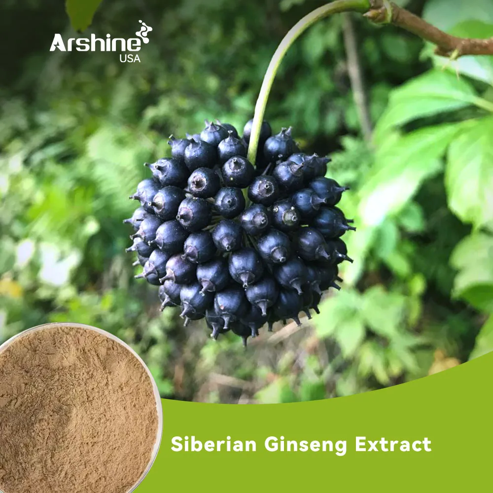 Siberian Ginseng Extract