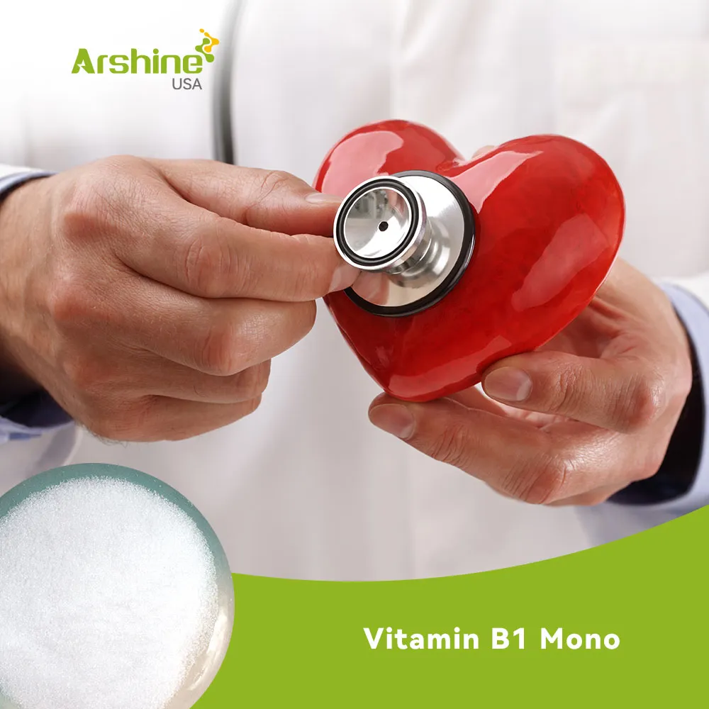 Vitamin B1 Mono(Thiamin Mononitrate)