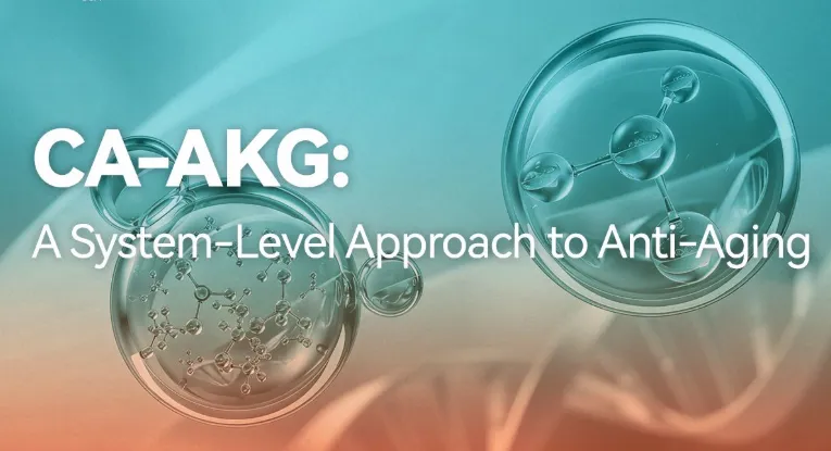 Ca-AKG：A system-level approach to anti-aging