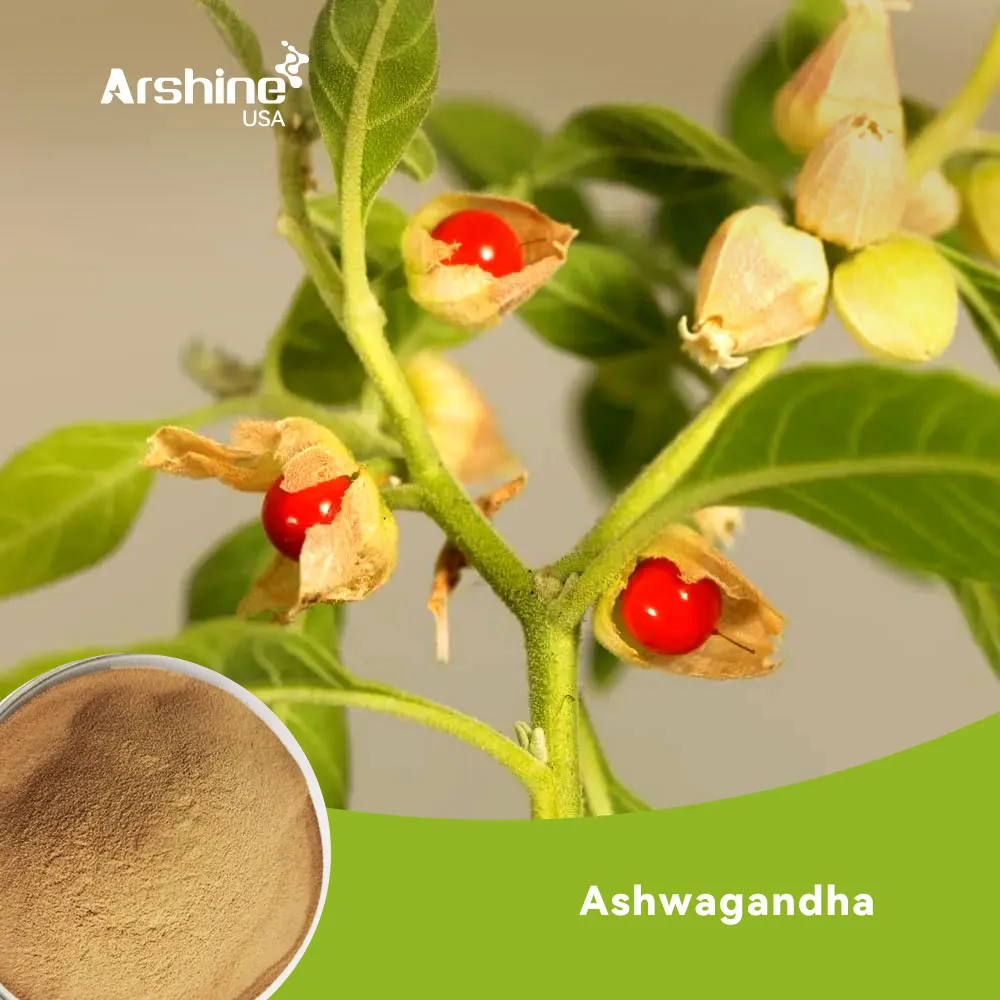 Ashwagandha