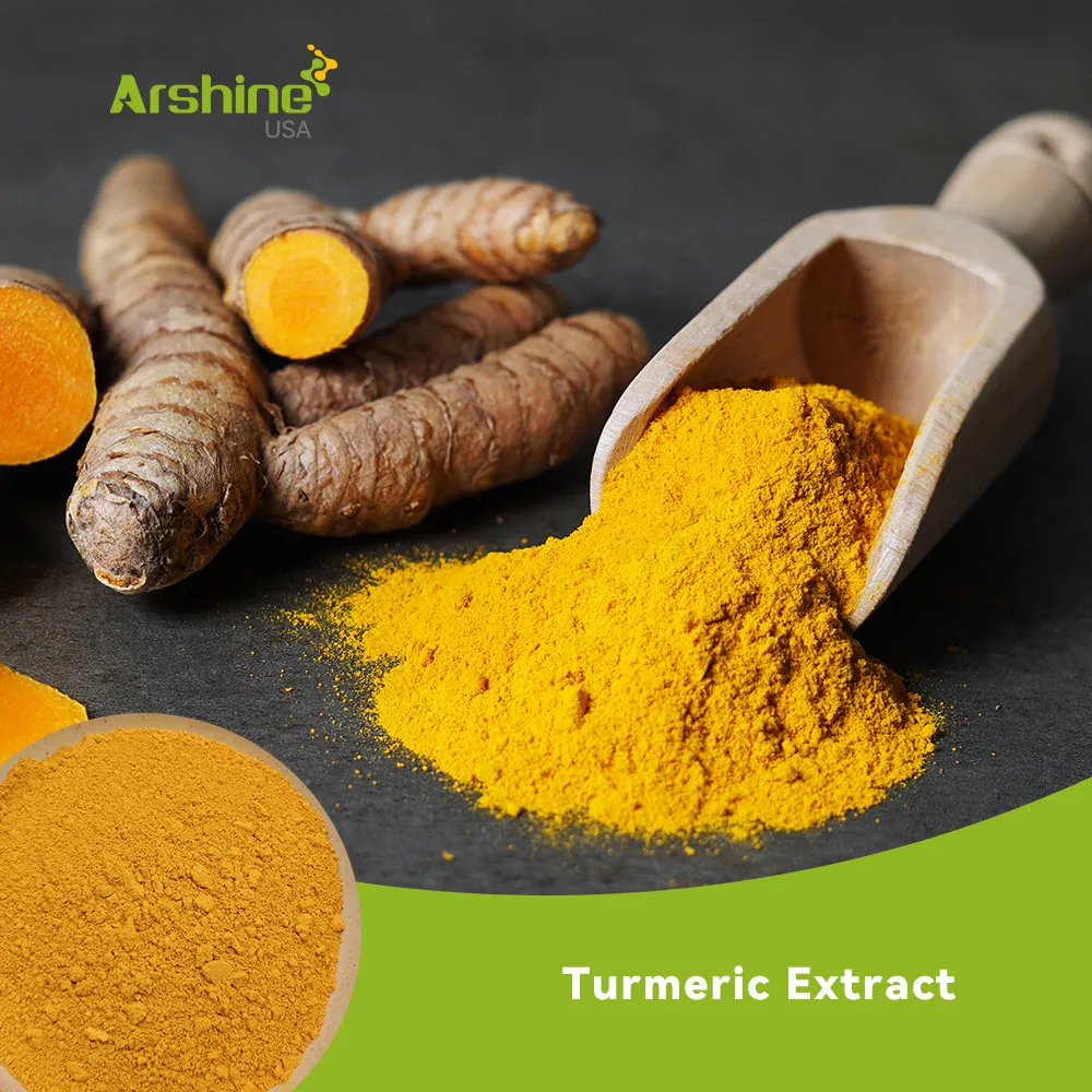 Turmeric Extract