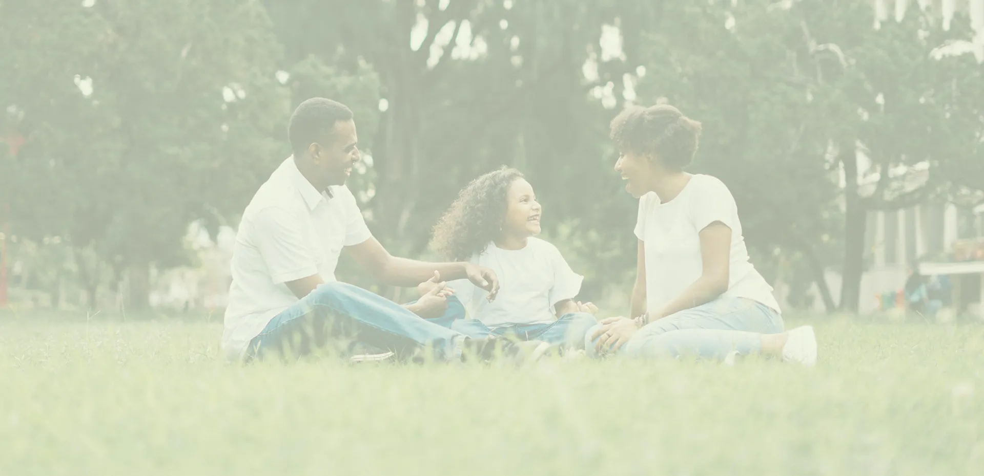 Functional ingredients