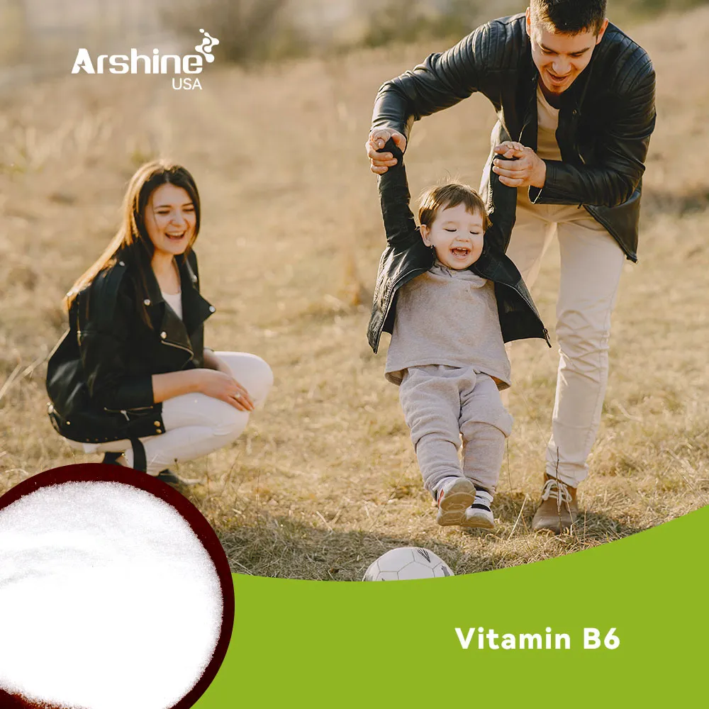 Vitamin B6(Pyridoxine HCL)