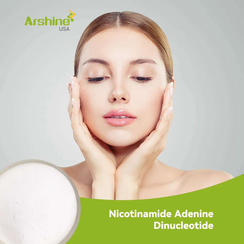 Nicotinamide Adenine Dinucleotide