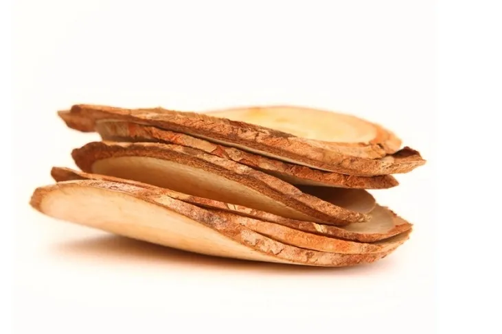 Efficacy, Effects and Contraindications of Tongkat Ali