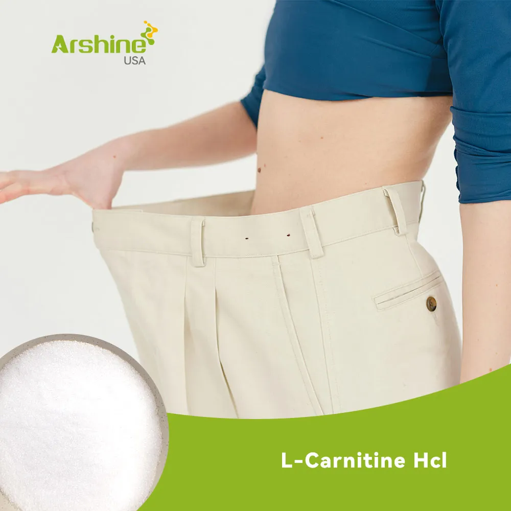 L-Carnitine Hcl